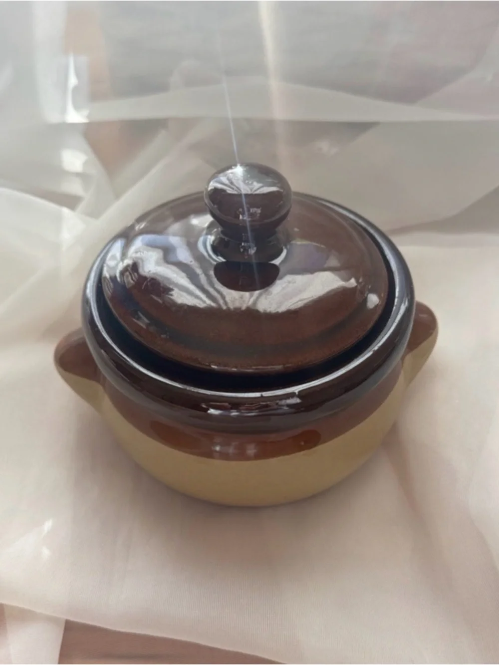 Brown and Tan Ceramic Lidded Casseroles (Set of 2)